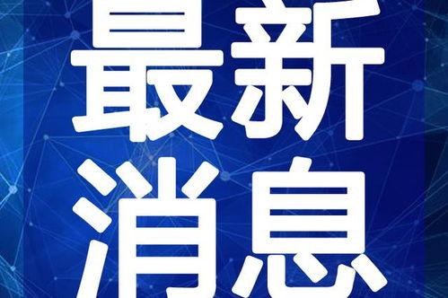 鹏哥手机爆料视频大全最新,最新科技动态一网打尽